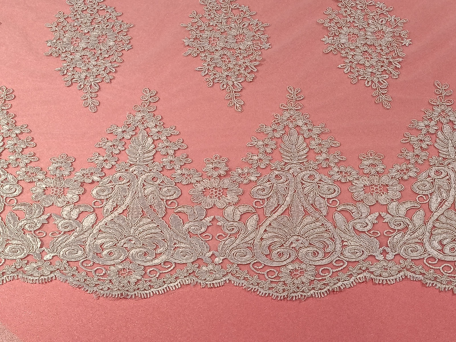 Slide Image