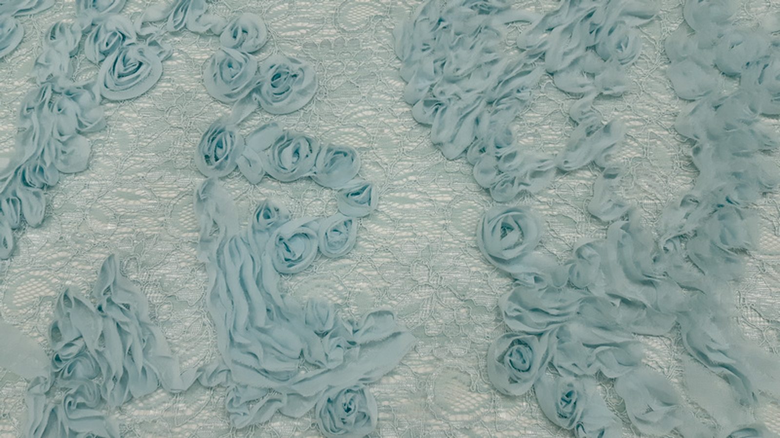 Encaje Relieve Flor Aguamarina