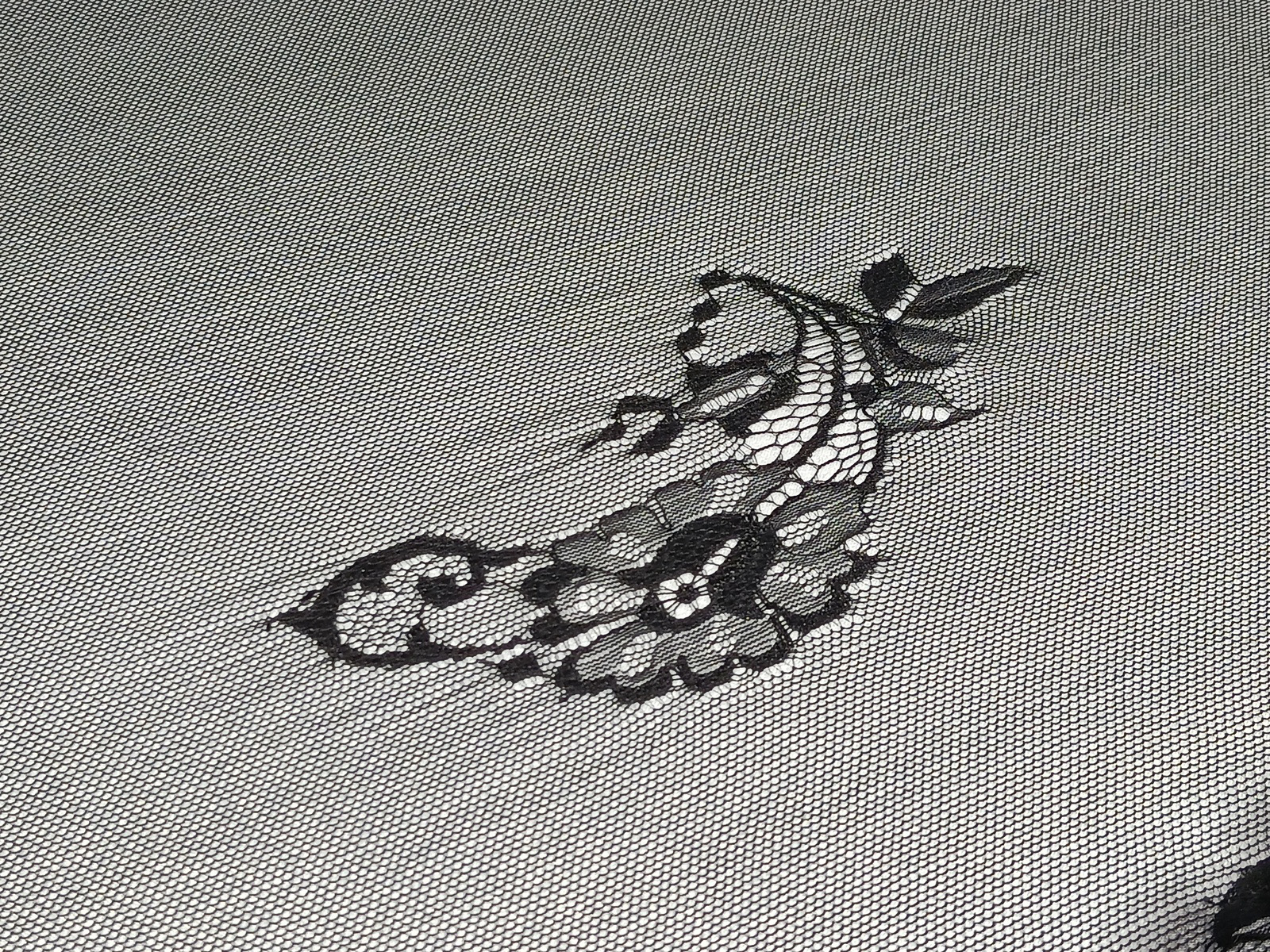 Slide Image