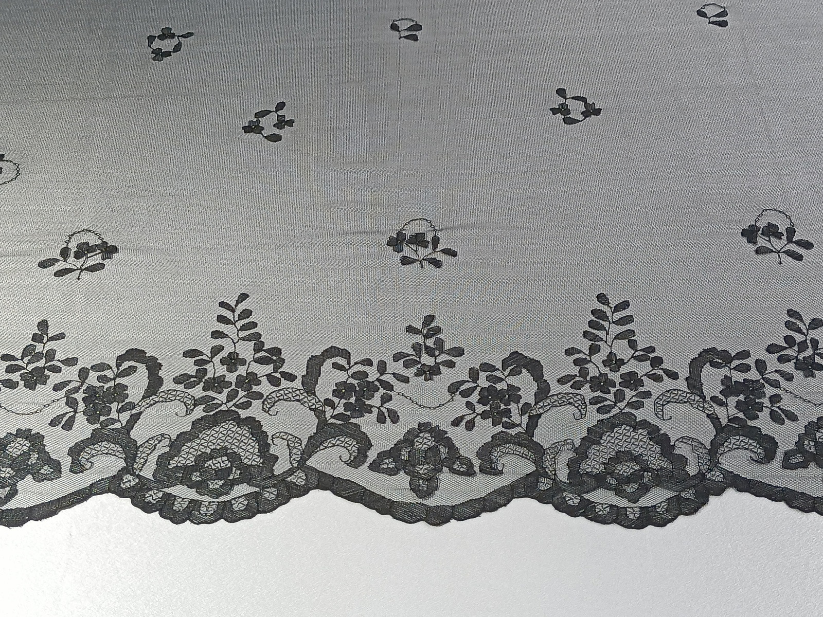 Slide Image