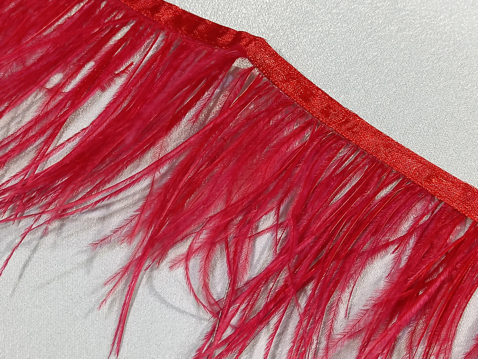 FLeco Pluma Austrich Simple Rojo