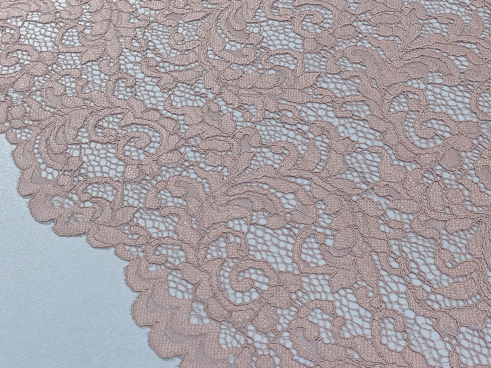 Encaje Rameado Floral Nude