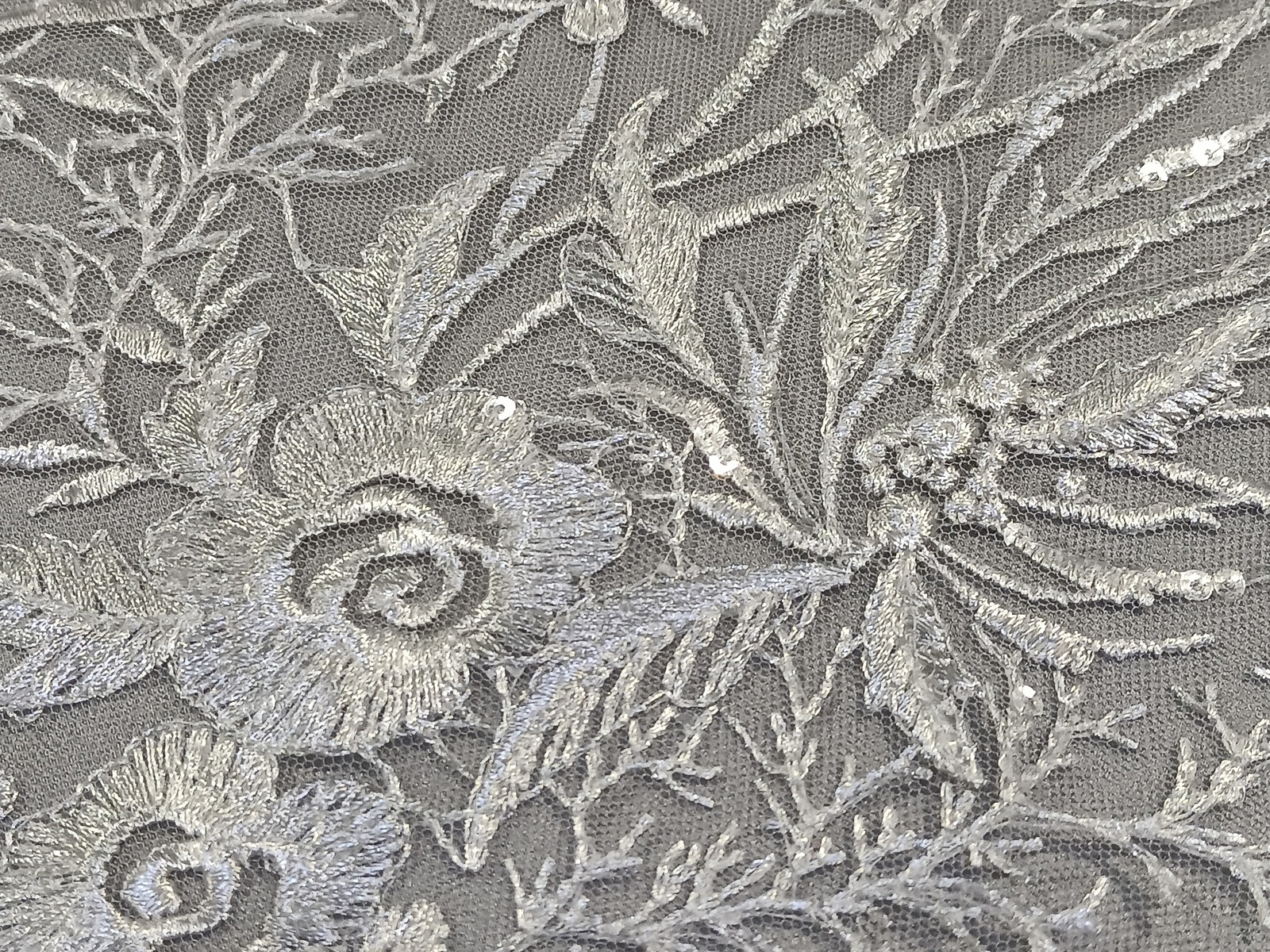 Slide Image