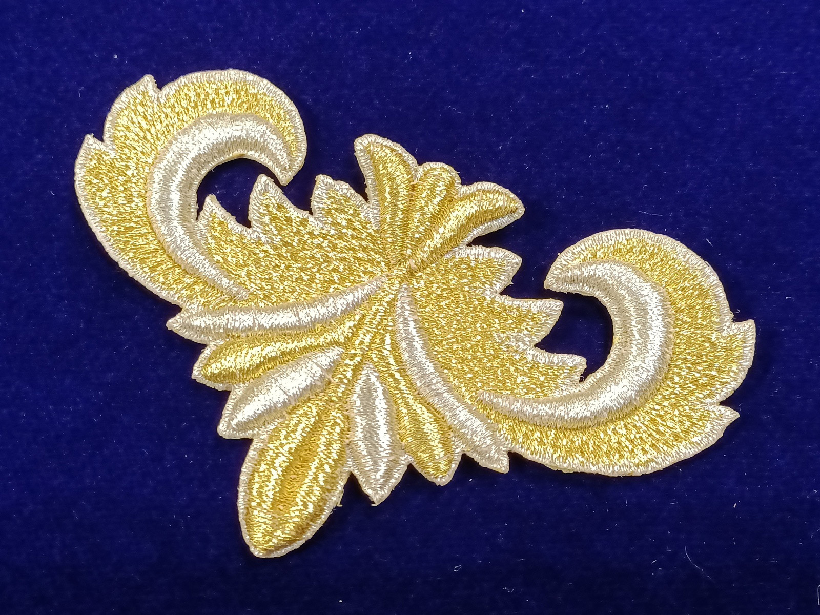 Slide Image